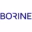 Pt Borine Technoloy Indonesia