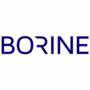 Pt Borine Technoloy Indonesia